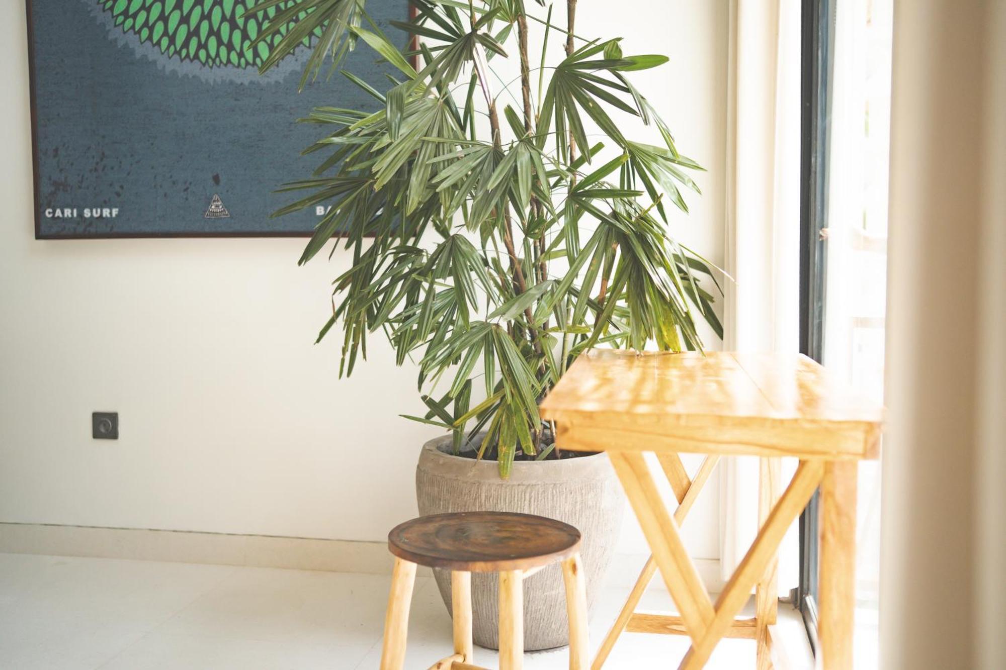 Cari Surf Camp & Studio'S Uluwatu  Room photo