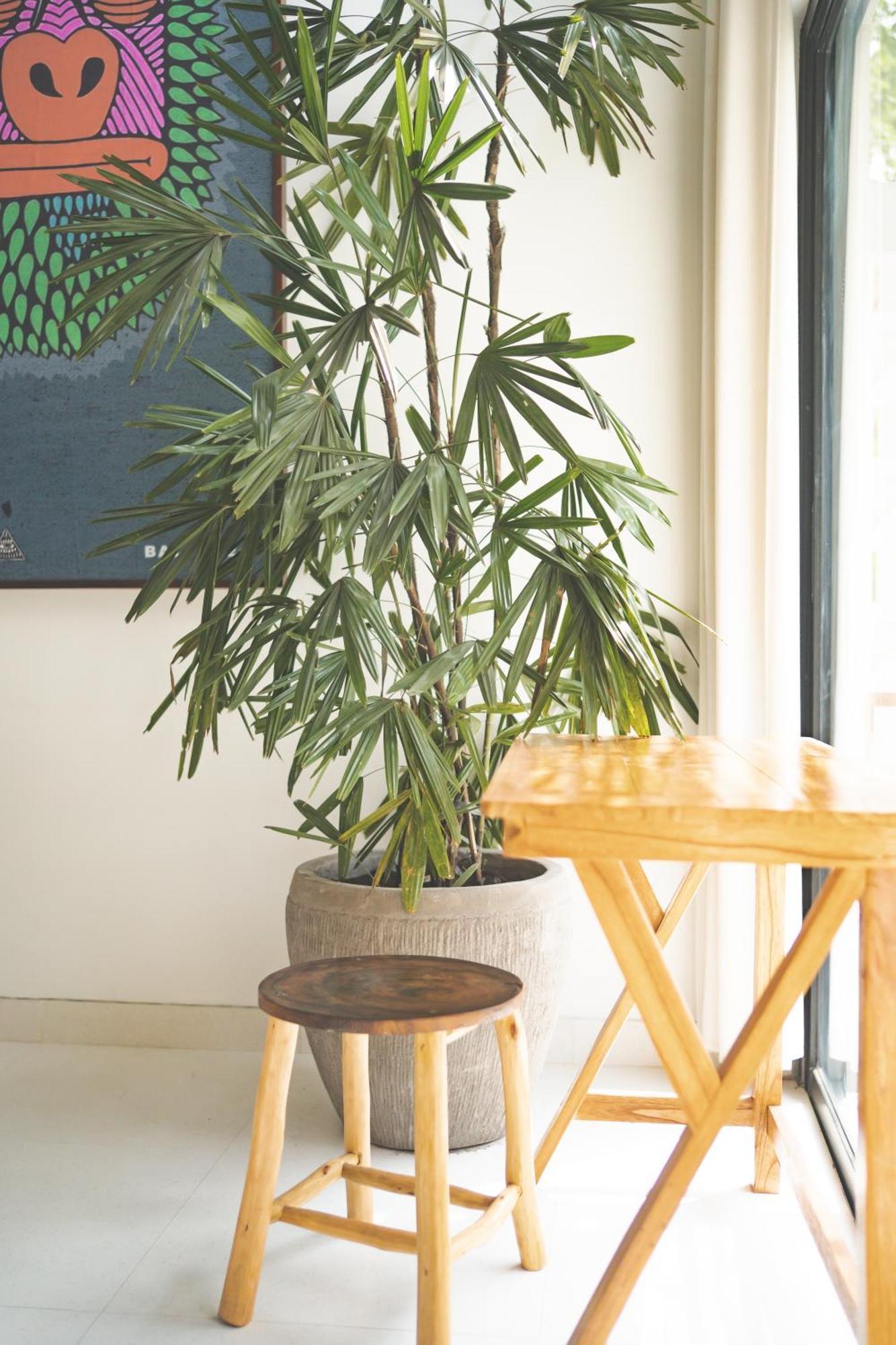 Cari Surf Camp & Studio'S Uluwatu  Room photo